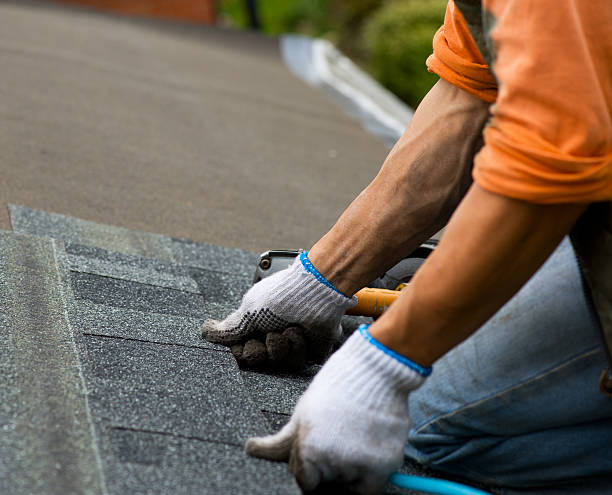 Best Roof Gutter Cleaning  in Indian Hills, TX